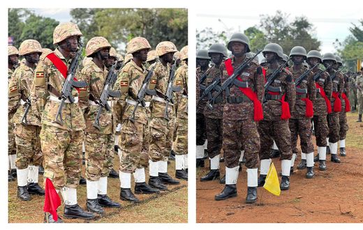 Military Parade at Busikho Primary Teachers’ College grounds