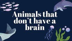 Some animals survive without a brain [TheWeek]