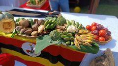 Fruits