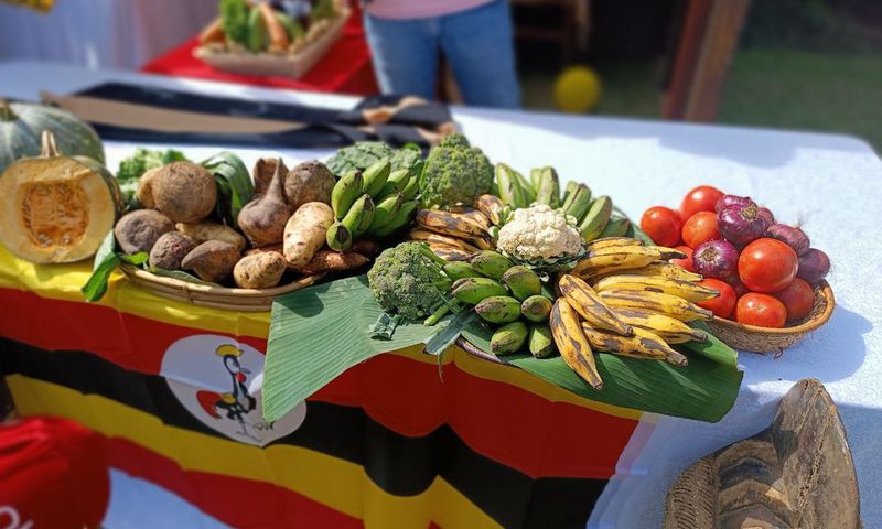 Fruits