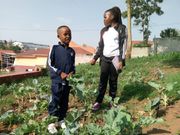 Dream Africa School's enrichment programmes: Beyond the classroom