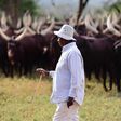President Museveni at his farm in Kisozi, Gomba recently/Instagram