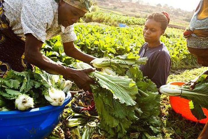 Enhancing Competitiveness of Agri-Food Industry and Mitigating the Impact of Global Crises to Improve Food Security in the EAC/Courtesy