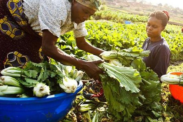 Enhancing Competitiveness of Agri-Food Industry and Mitigating the Impact of Global Crises to Improve Food Security in the EAC/Courtesy