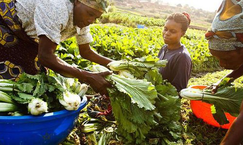 Enhancing Competitiveness of Agri-Food Industry and Mitigating the Impact of Global Crises to Improve Food Security in the EAC/Courtesy