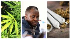 MP Hilderman wants government to allow smallholder farming of marijuana in his constituency