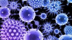 virus g