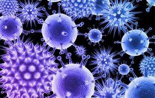 virus g