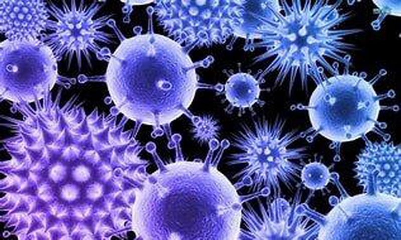 virus g