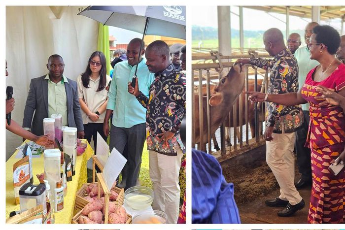 Deputy Speaker Thomas Tayebwa was at NARO on Thursday