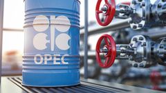 What new OPEC development fund for green sustainability means for Uganda