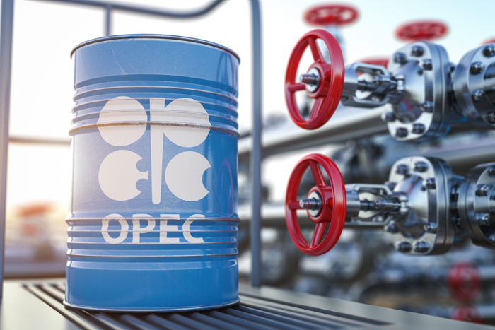 What new OPEC development fund for green sustainability means for Uganda