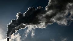 New Zealand has made it law that the country must produce no carbon emissions by 2050