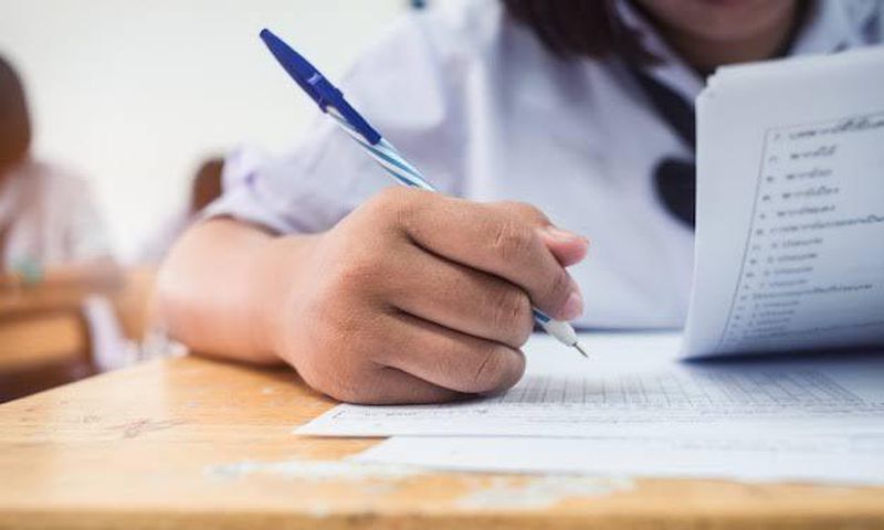 The delayed exam policy allows students to explore various subjects without the pressure of exams [Freepik]
