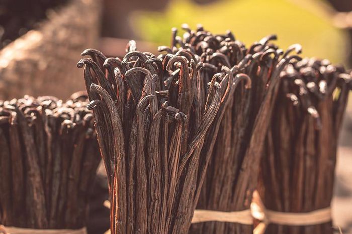 99 per cent vanilla price drop leaves Ibanda farmers stranded/Courtesy