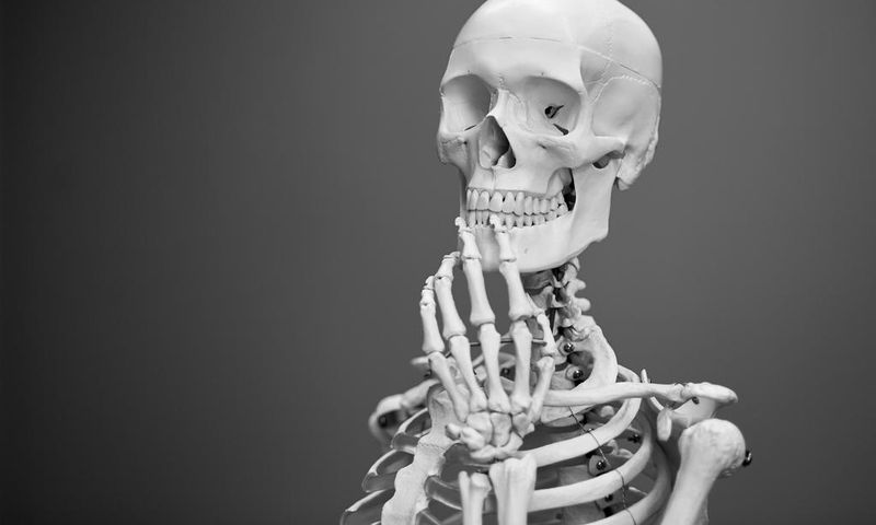 10 rare body features most people don't have (one's women-only)/Pexels