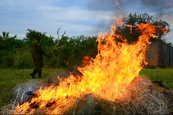 The Apaa land conflict has claimed hundreds of lives