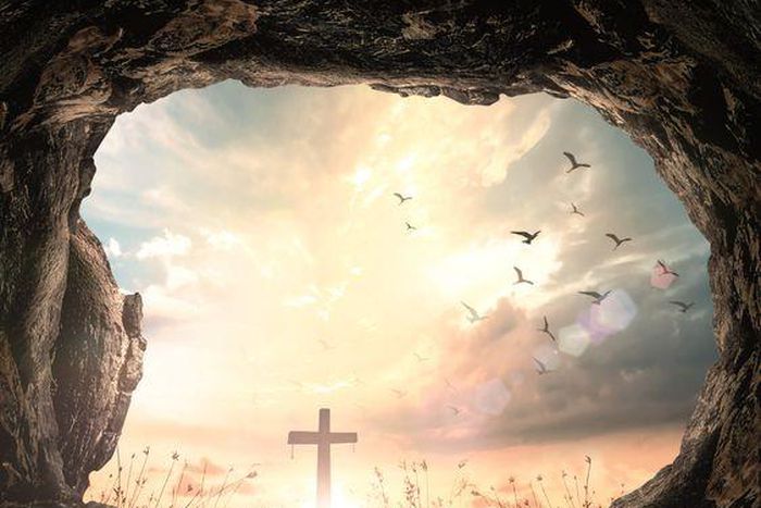 Courtesy: thewildberrypatch