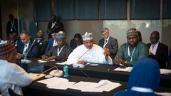 Food control should be Africa's new weapon of freedom - African Union leaders