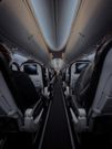 6 tips to survive long international flights/Pexels
