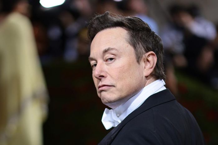 Twitter owner Elon Musk.Dimitrios Kambouris/Getty Images