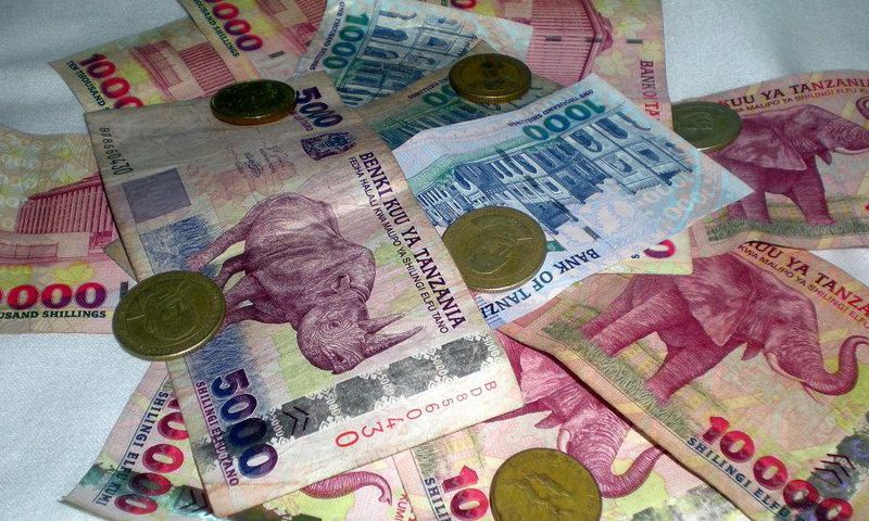 Tanzanian shillings