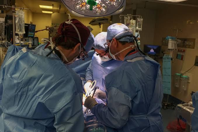 first kidney transplant from a pig was done in Boston [independent]
