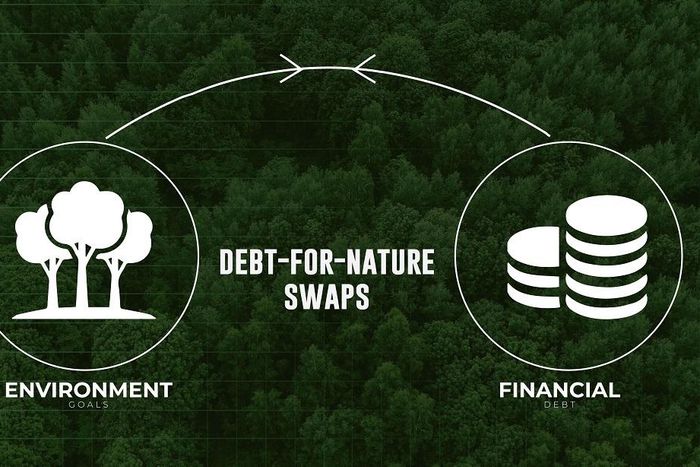 African Development Bank is looking to initiate the revolutionary debt-for-nature exchange program