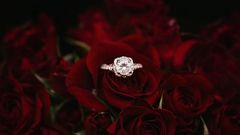 7 Beautiful things rose flowers teach us about love