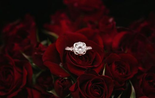 7 Beautiful things rose flowers teach us about love