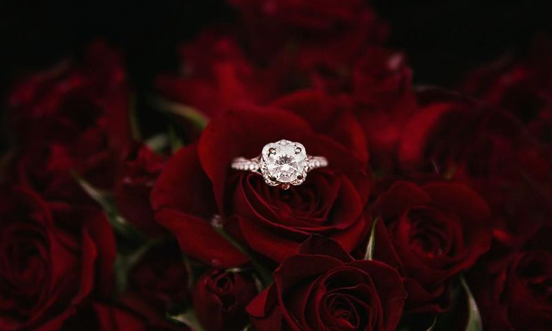 7 Beautiful things rose flowers teach us about love