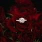 7 Beautiful things rose flowers teach us about love