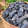Charcoal