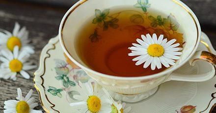 The health benefits of chamomile [BBCGoodFood]