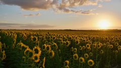 35+ fun and refreshing things to do this hot season/Pexels/Peter De Vink