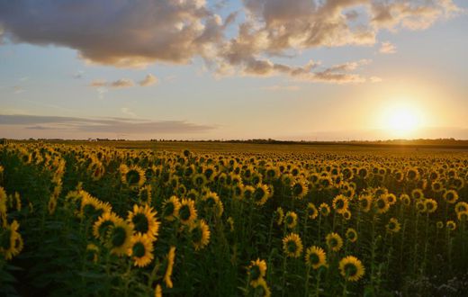 35+ fun and refreshing things to do this hot season/Pexels/Peter De Vink