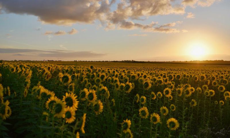 35+ fun and refreshing things to do this hot season/Pexels/Peter De Vink