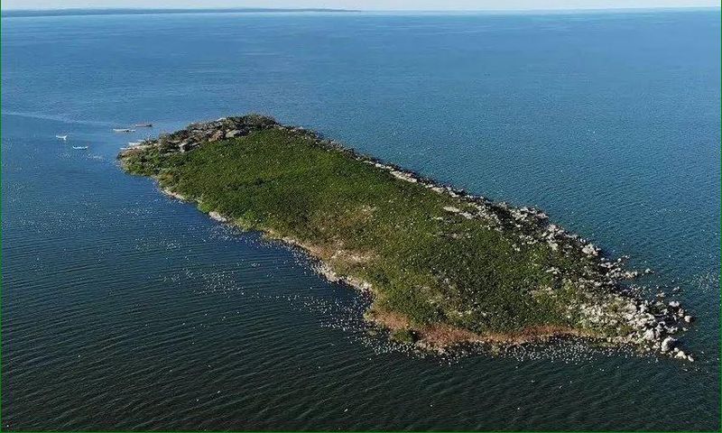 Musambwa Island