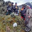 Rwenzori mountain climbers