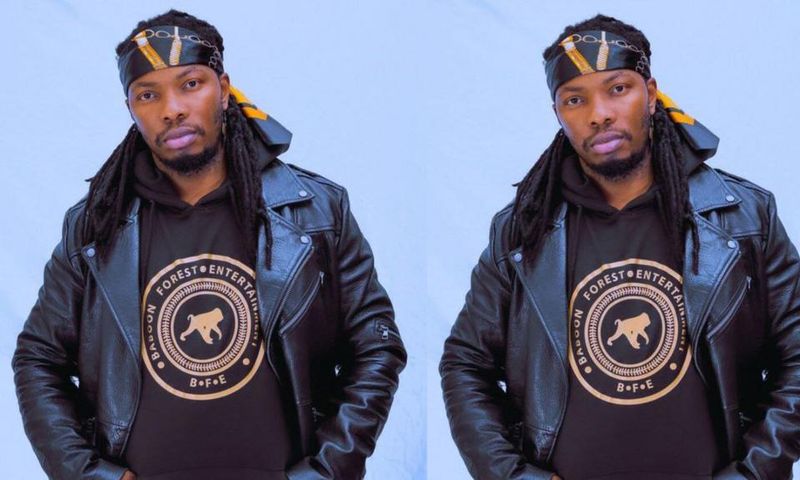 GNL Zamba