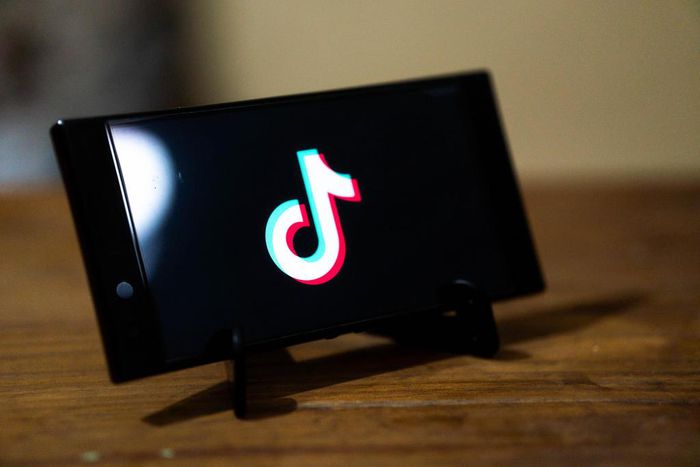 TikTok download tips you need to know before sharing videos/Pixabay