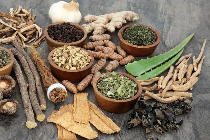 Herbs to avoid during pregnancy [SingaporePaincare]