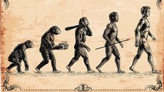 Homo Sapiens originated in Africa over 300,000 years ago, according to a new study