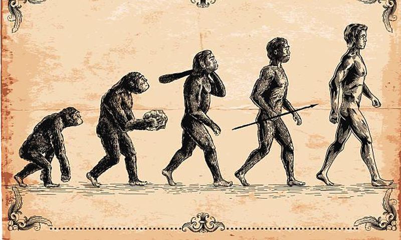Homo Sapiens originated in Africa over 300,000 years ago, according to a new study
