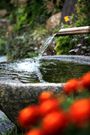 5 natural body-boosting substances/Spring water