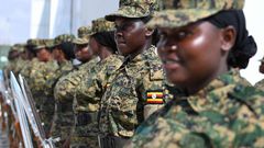 UPDF