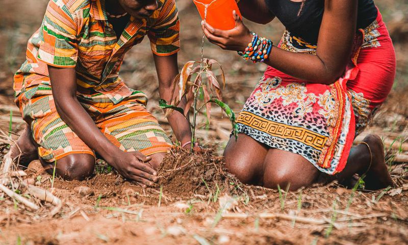 Couple watering a plant together. Photo by Safari Consoler