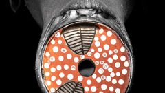 How the slave trade birthed this Surma tribe beauty tradition/Courtesy/Jayne McLean