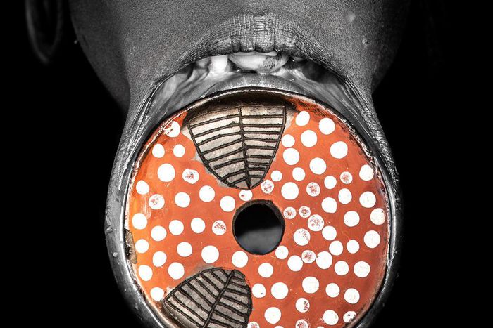 How the slave trade birthed this Surma tribe beauty tradition/Courtesy/Jayne McLean