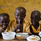 Africa has all it takes to eradicate hunger